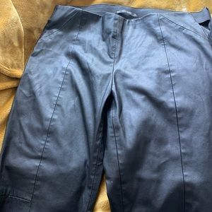 Zara Faux Leather Pants